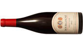 BOURGOGNE-PINOT-NOIR-2011_2
