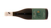 Di Camillo Simbiosi Terre di chieti Cabernet Sauvignon 2021
