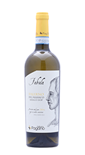 Fabula Falerno del Massico Bianco Fattoria Pagano 2021 のコピー