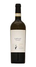 Lapilli Greco di Tufo 2022