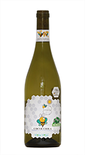Cantina Orsogna Vola Vole Cococciola 2023 のコピー