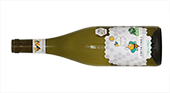 Cantina Orsogna Vola Vole Cococciola 2023